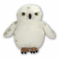 Large Fluffy Snowy Owl with Beans