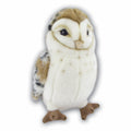 Medium Barn Owl with Beans