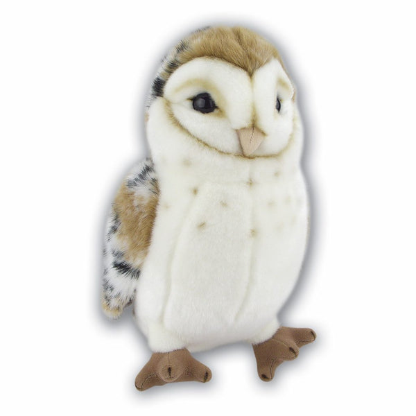 Medium Barn Owl with Beans