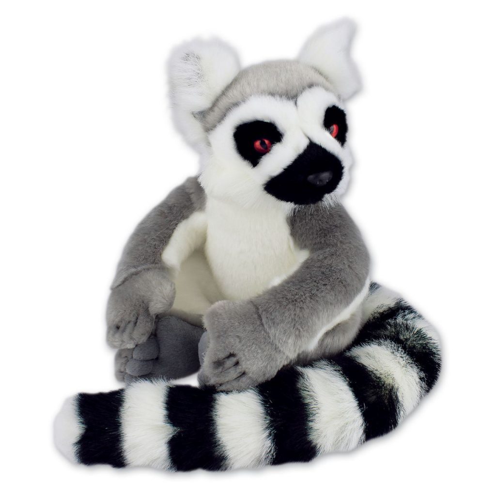 Large Ringtail Lemur