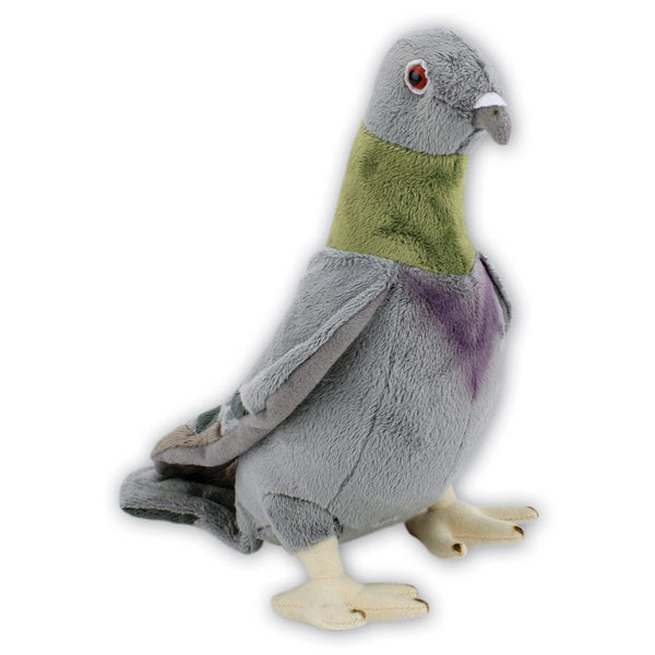 Pigeon with Beans