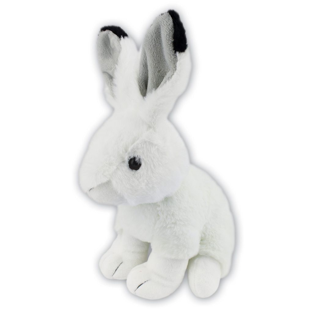 Arctic Hare with Beans