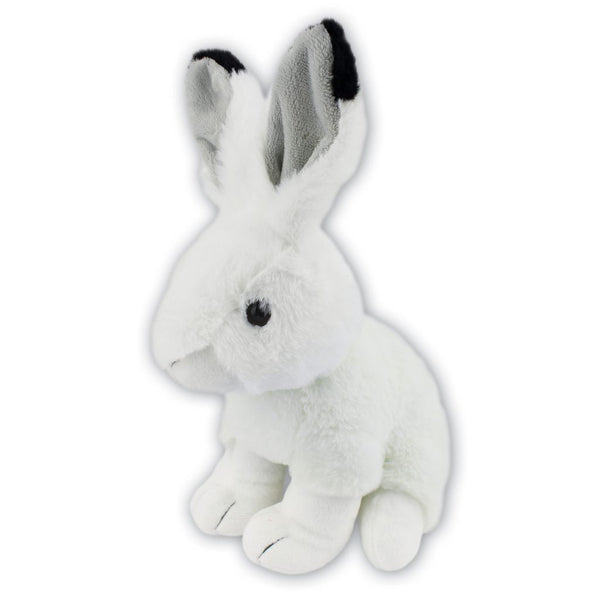 Arctic Hare with Beans