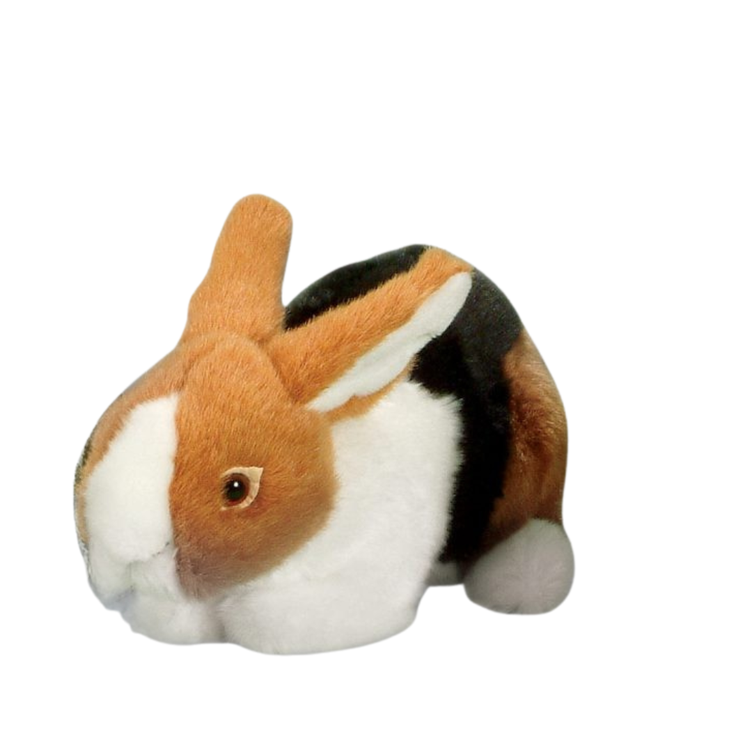 Large Rabbit with Beans